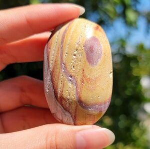 NEW 2.05" x 1.31" ARIZONA WONDERSTONE PALM STONE